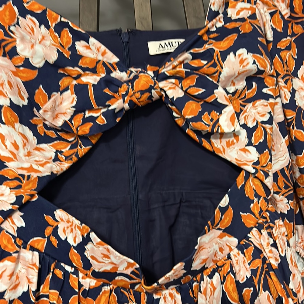 Amur - Picture 6 of 14